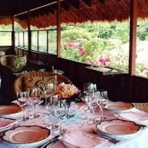 Cockatoo Hill Retreat Hotel Daintree